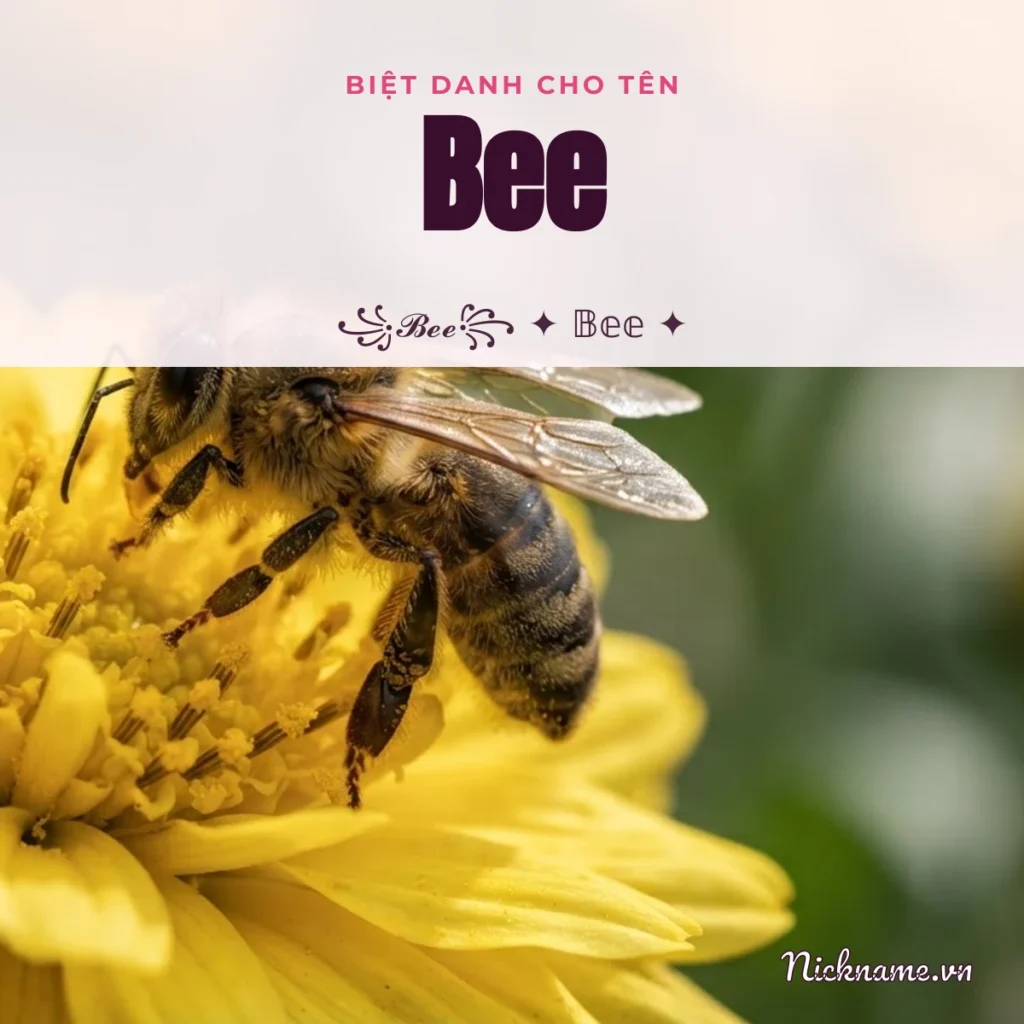 Biệt Danh Cho Tên Bee 2026 🐝 156+ Mẫu Cute Miễn Phí