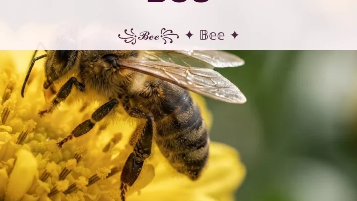 Biệt Danh Cho Tên Bee 2026 🐝 156+ Mẫu Cute Miễn Phí