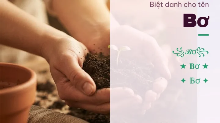 Biệt Danh Cho Tên Bơ 2026 🥑 171+ Mẫu Cute Miễn Phí