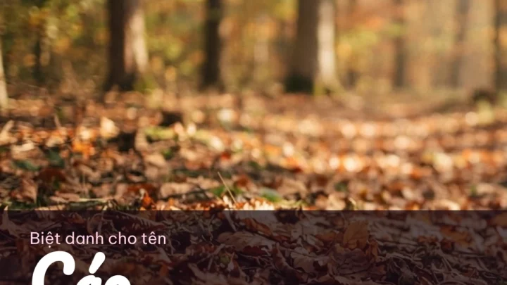 Biệt Danh Cho Tên Cáo 2026 🦊 163+ Mẫu Đẹp Miễn Phí