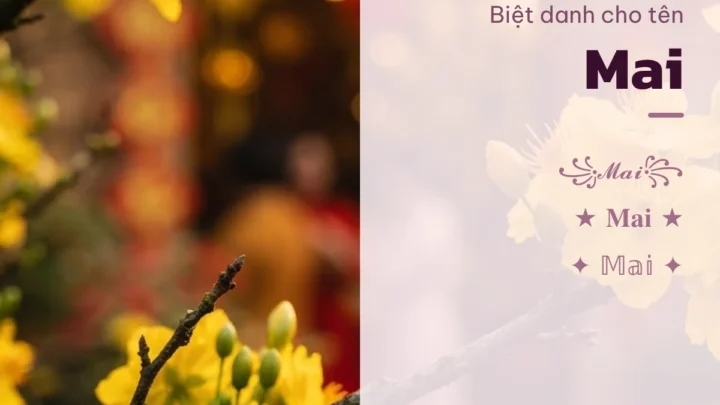 Biệt Danh Cho Tên Mai 2026 🌼 176+ Mẫu Đẹp Miễn Phí