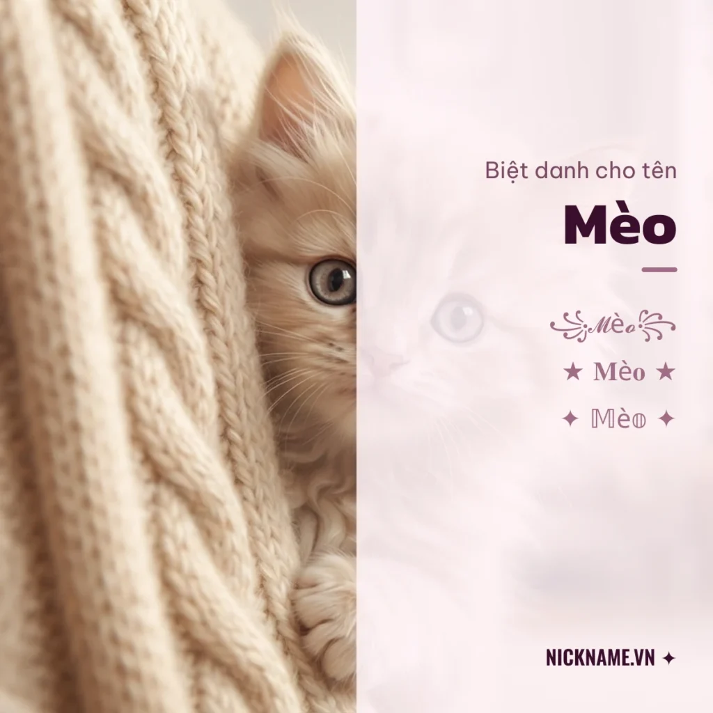 Biệt Danh Cho Tên Mèo 2026 🐱 156+ Mẫu Cute Miễn Phí