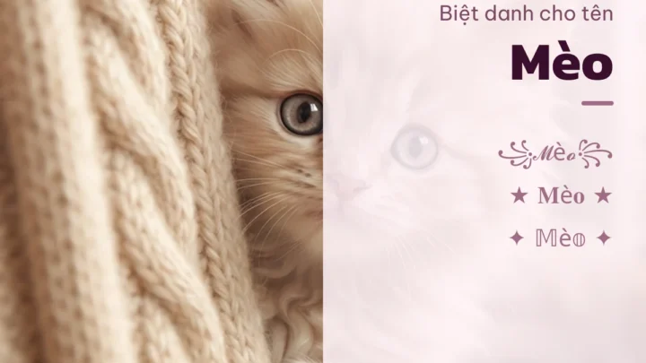 Biệt Danh Cho Tên Mèo 2026 🐱 156+ Mẫu Cute Miễn Phí