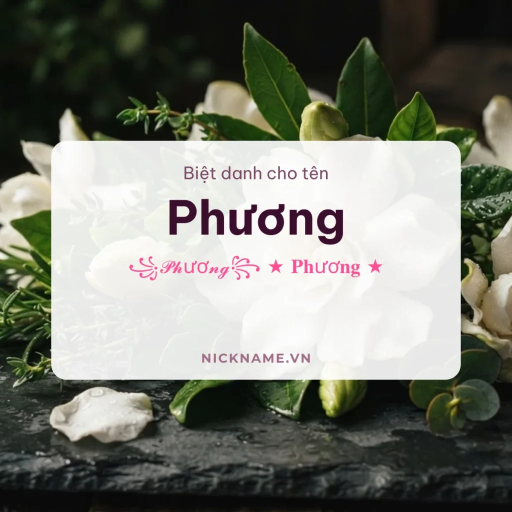 Biệt Danh Cho Tên Phương 2026 🌸 167+ Mẫu Đẹp Miễn Phí