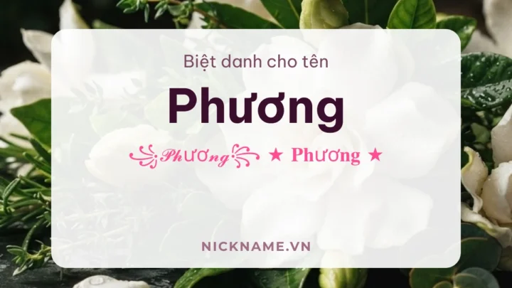 Biệt Danh Cho Tên Phương 2026 🌸 167+ Mẫu Đẹp Miễn Phí