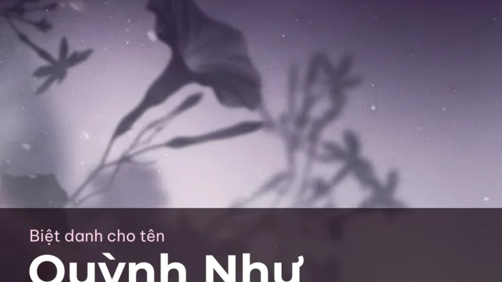 Biệt Danh Cho Tên Quỳnh Như 2026 🌙 176+ Mẫu Đẹp Miễn Phí