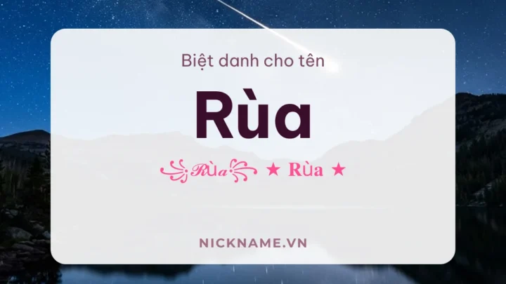 Biệt Danh Cho Tên Rùa 2026 🐢 136+ Mẫu Cute Miễn Phí