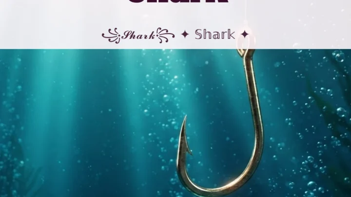Biệt Danh Cho Tên Shark 2026 🦈 139+ Mẫu Ngầu Miễn Phí