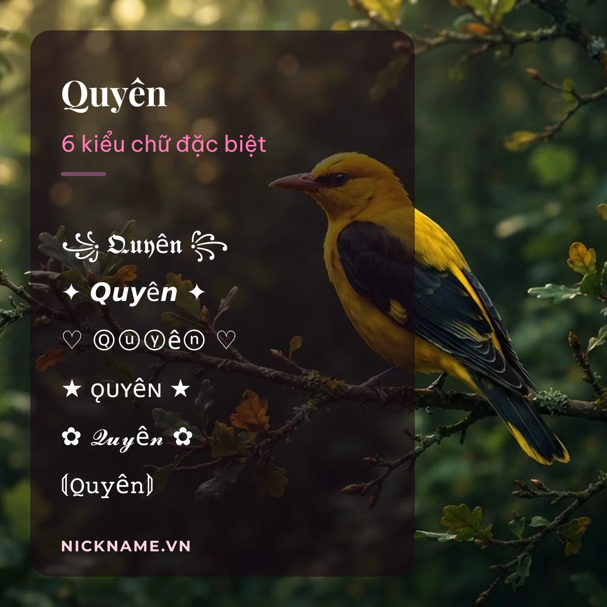 Tên Quyên kí tự đặc biệt: 6 kiểu chữ Unicode để chép