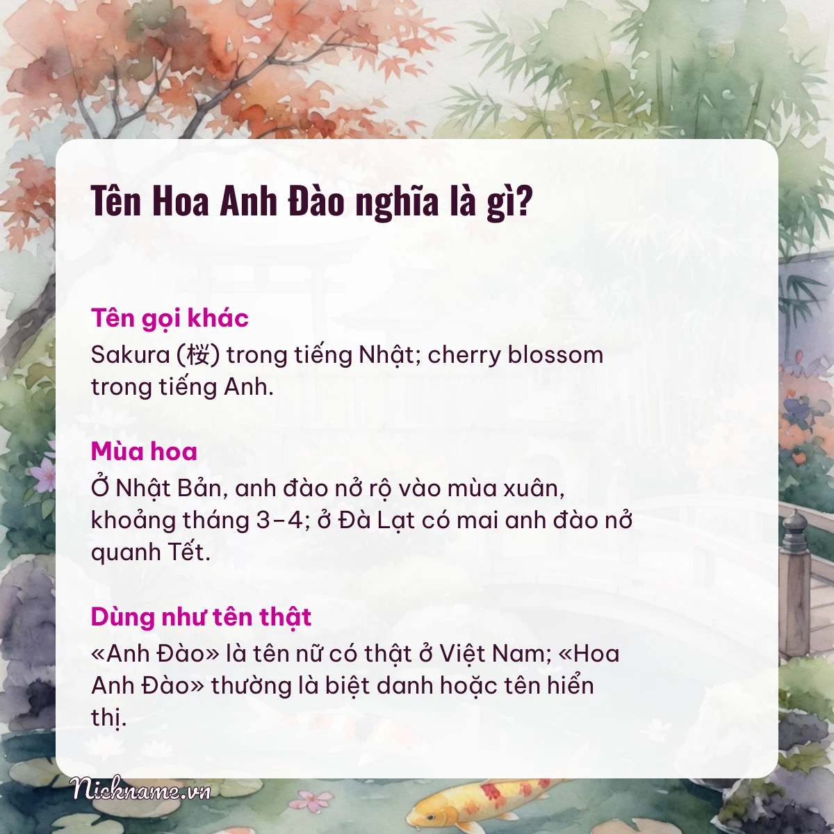 Ý nghĩa tên Hoa Anh Đào và cách gọi thân mật
