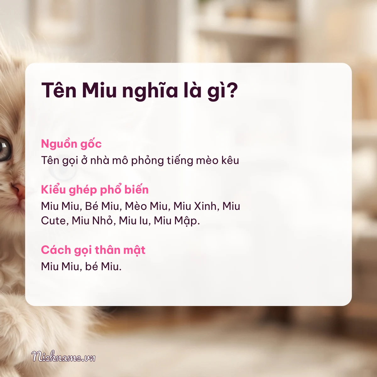 Ý nghĩa tên Miu và cách gọi thân mật