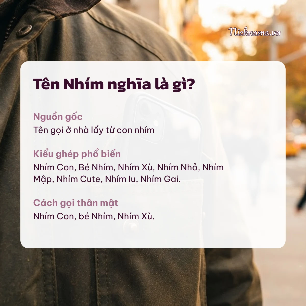 Ý nghĩa tên Nhím và cách gọi thân mật