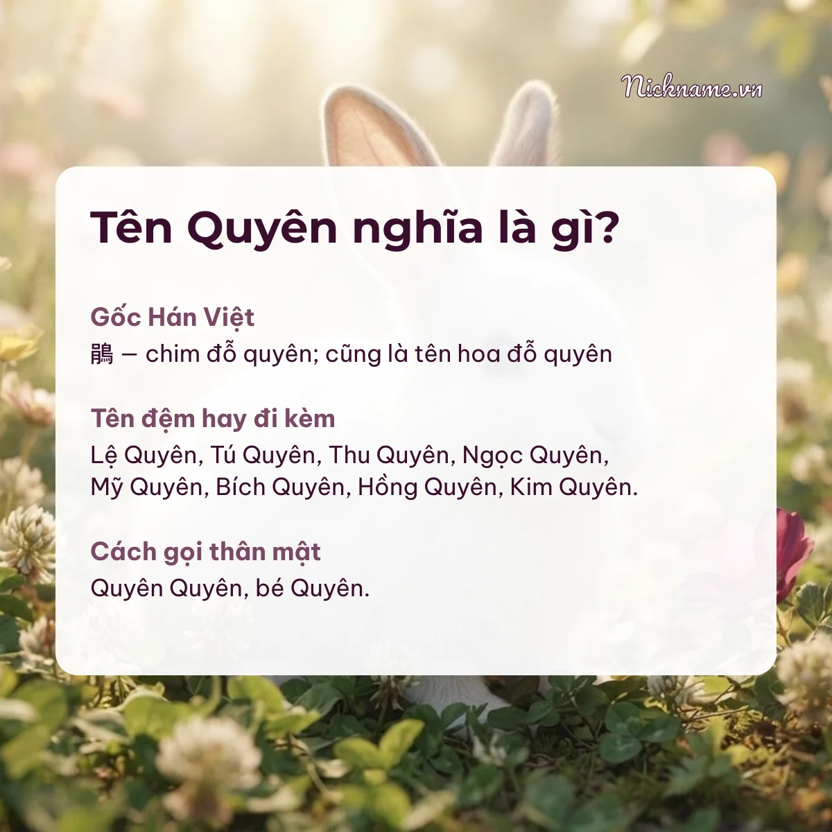Ý nghĩa tên Quyên và cách gọi thân mật