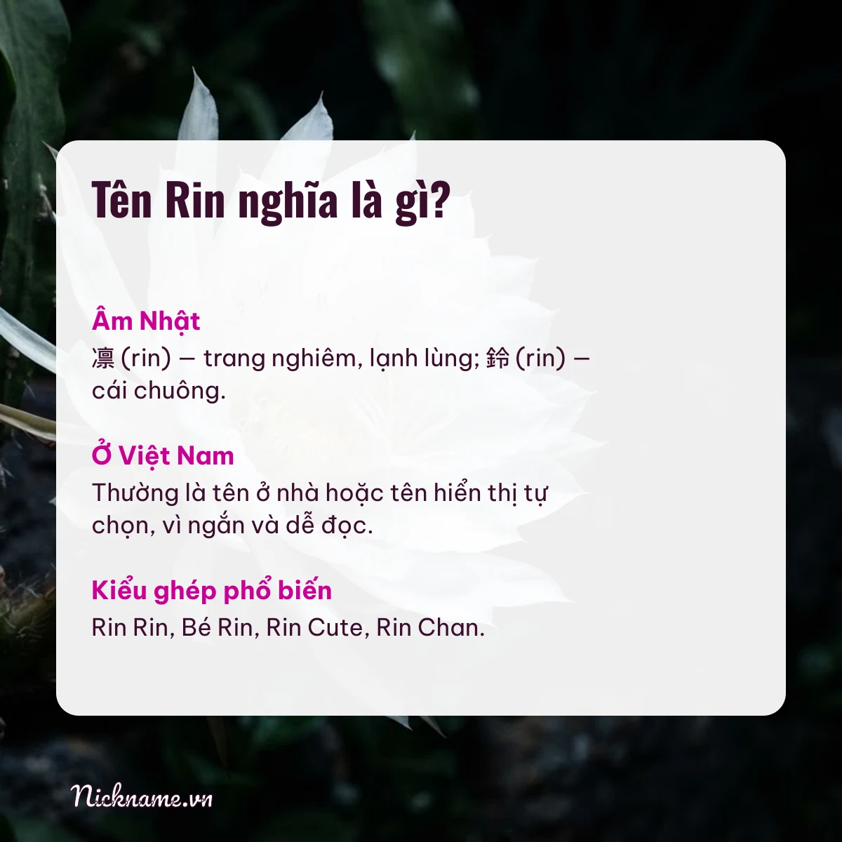 Ý nghĩa tên Rin và cách gọi thân mật