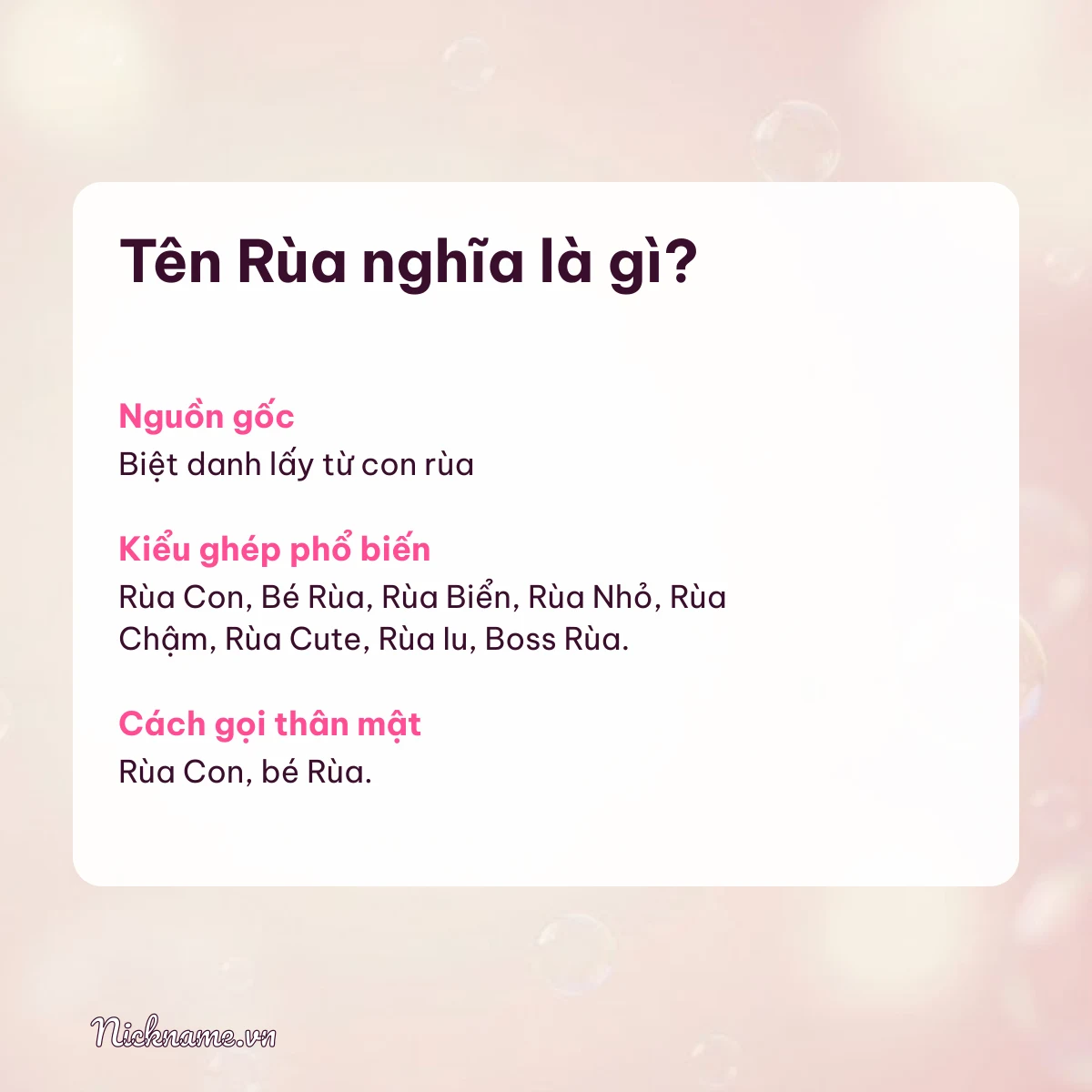Ý nghĩa tên Rùa và cách gọi thân mật