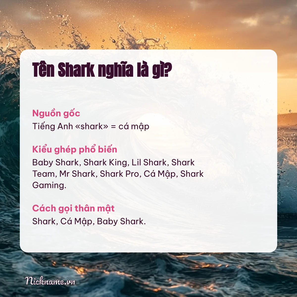 Ý nghĩa tên Shark và cách gọi thân mật