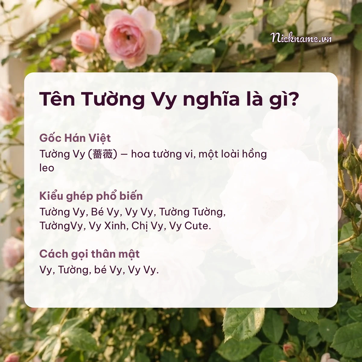 Ý nghĩa tên Tường Vy và cách gọi thân mật